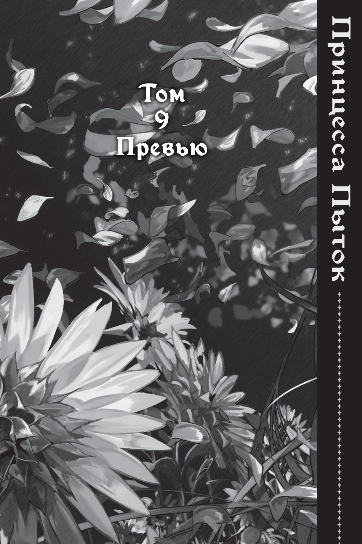 Превью