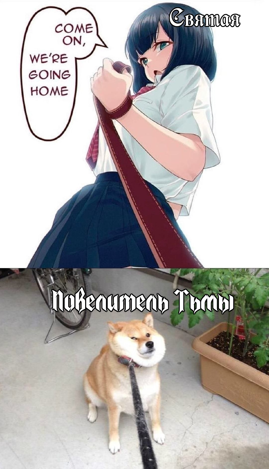Экзамены и испытания
