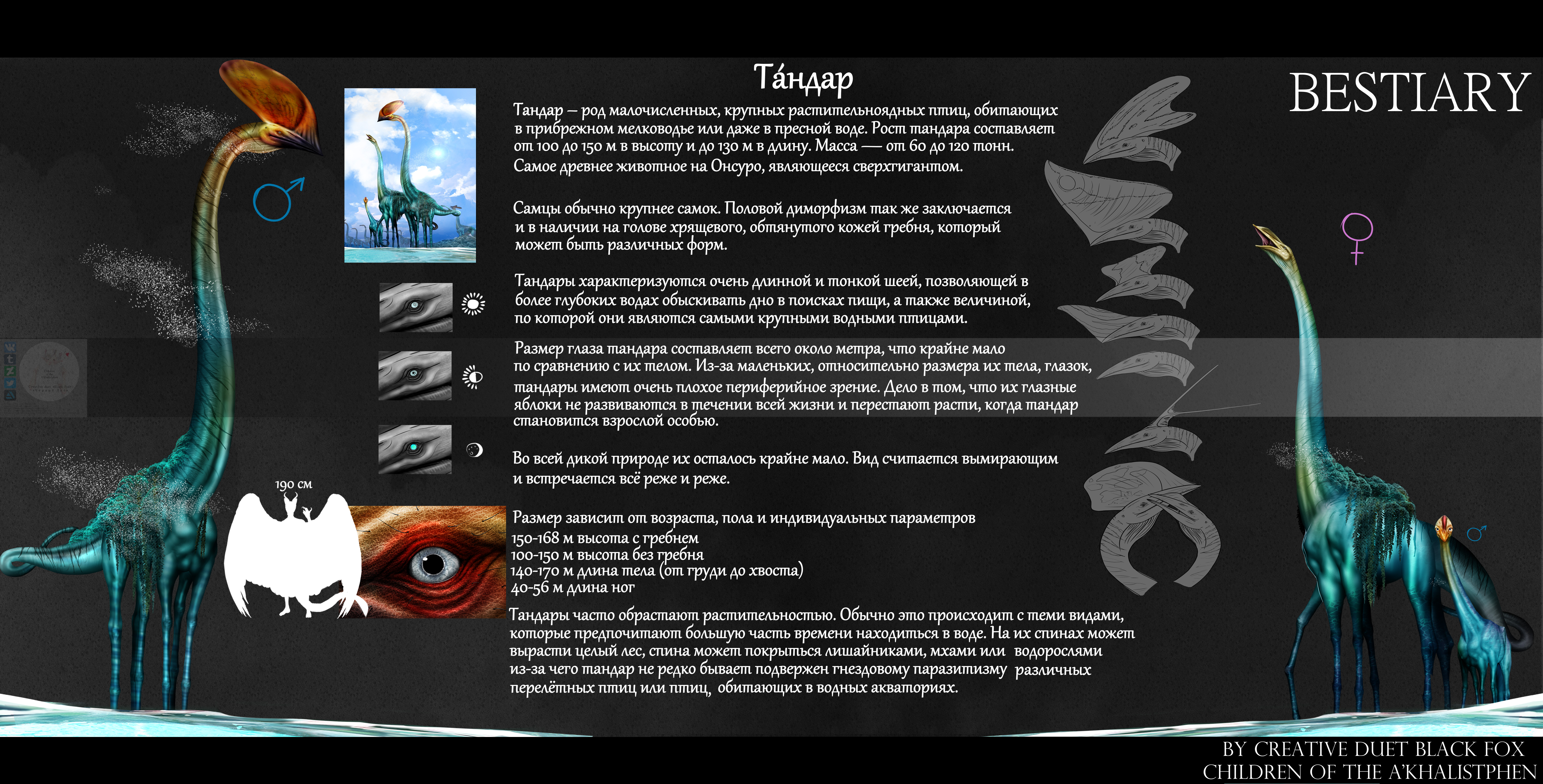 «Первый шаг к краю»