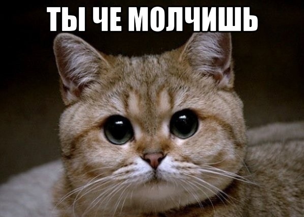 Это не глава