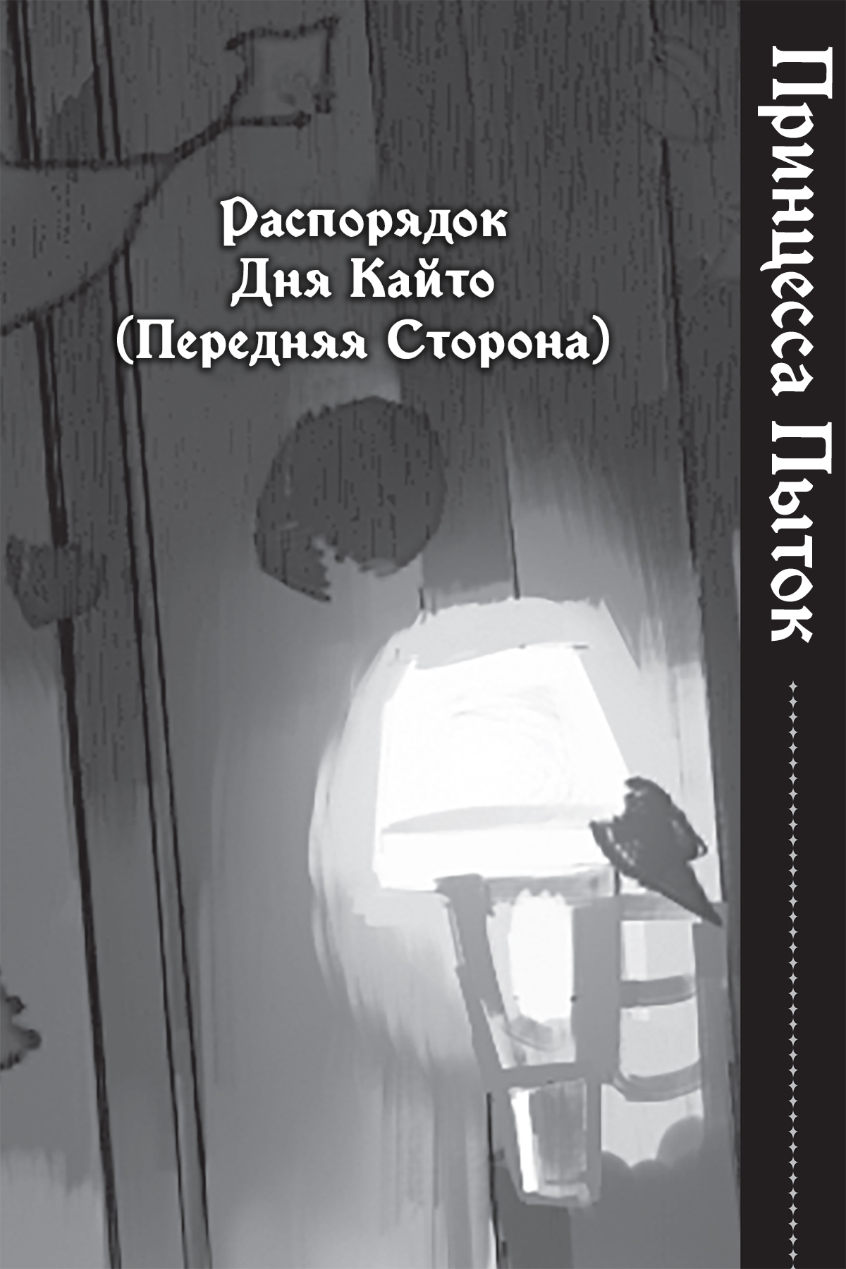 Распорядок Дня Кайто (Передняя Сторона)