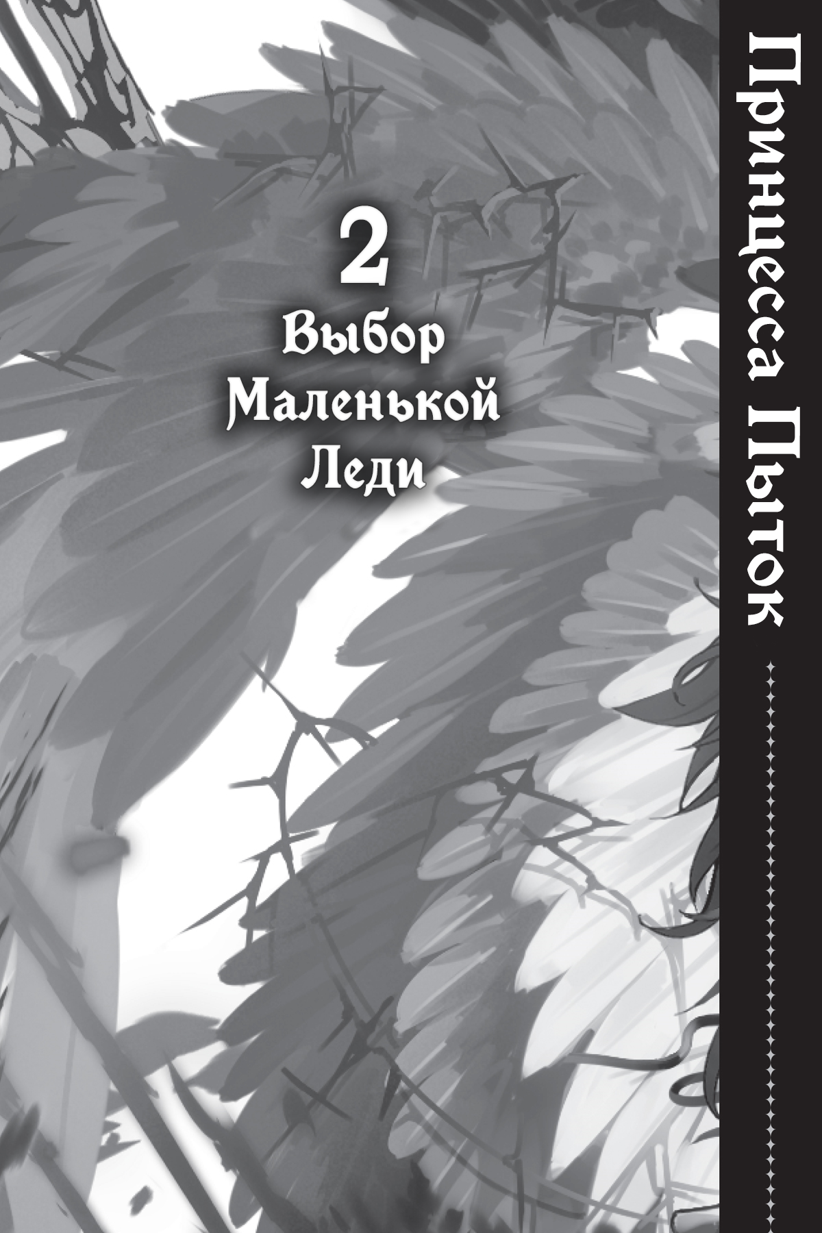 Выбор Маленькой Леди