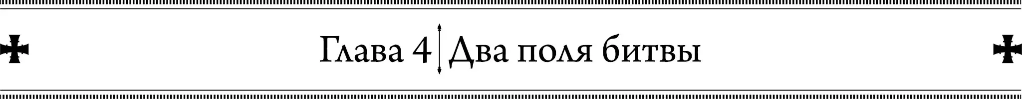 Глава 4. Два поля битвы