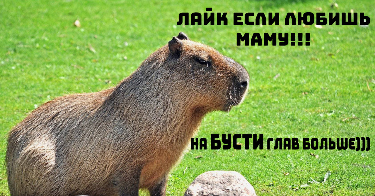Пролог