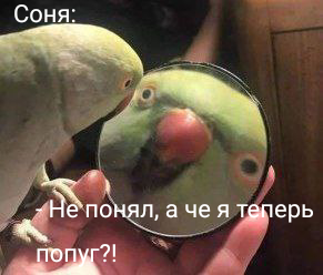 Первая Ночь