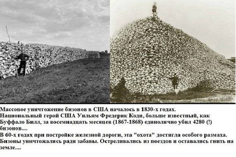 Счастливая Подкова