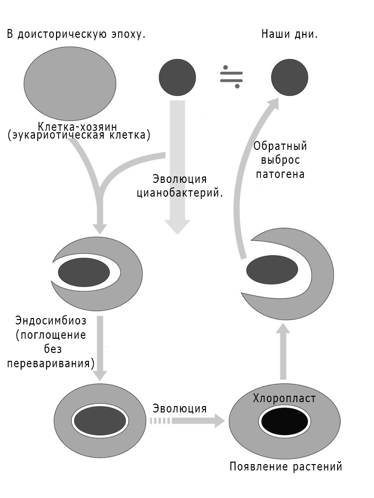 ГЛАВА 6. Внезапный порыв. Часть 3.