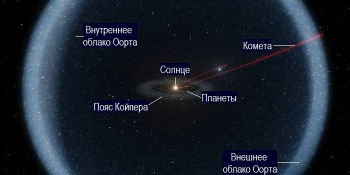 Незванные гости