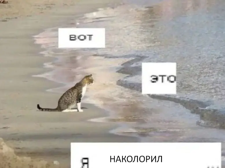Послесловие команды