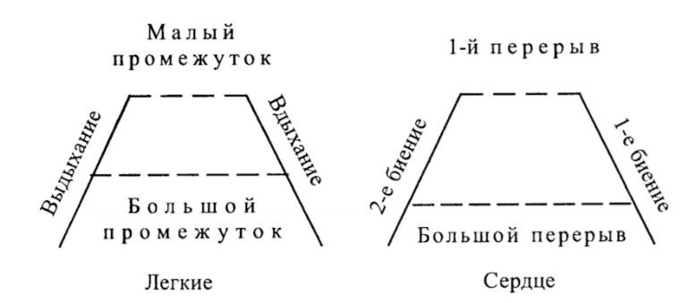 Предварительные сведения. Начало чувствующее