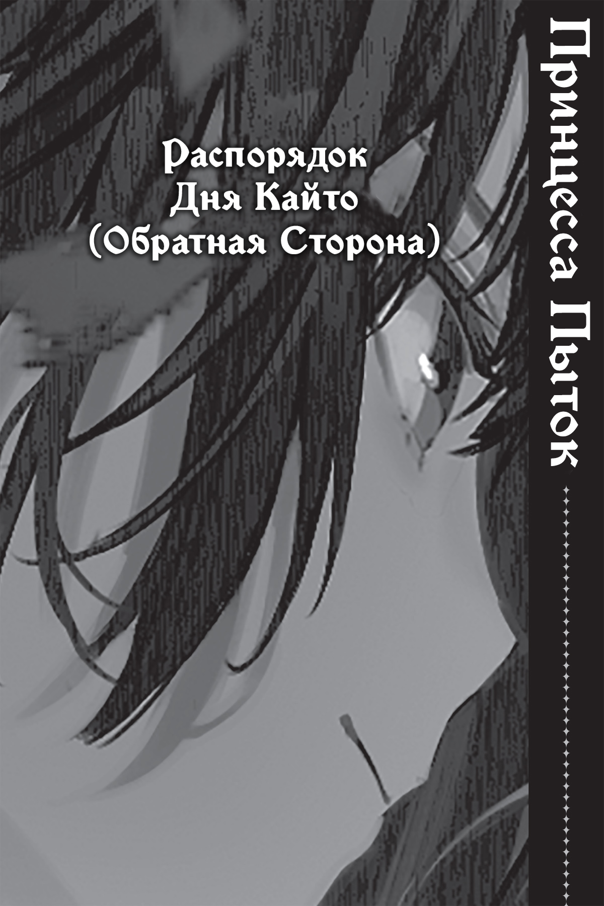 Распорядок Дня Кайто (Обратная Сторона)