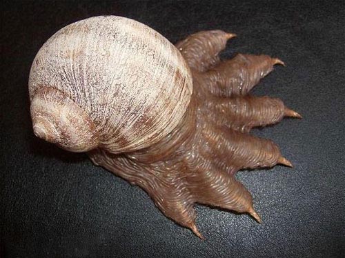 075